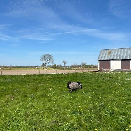 Oesterlen Oasis Spjutstorp 外观 照片