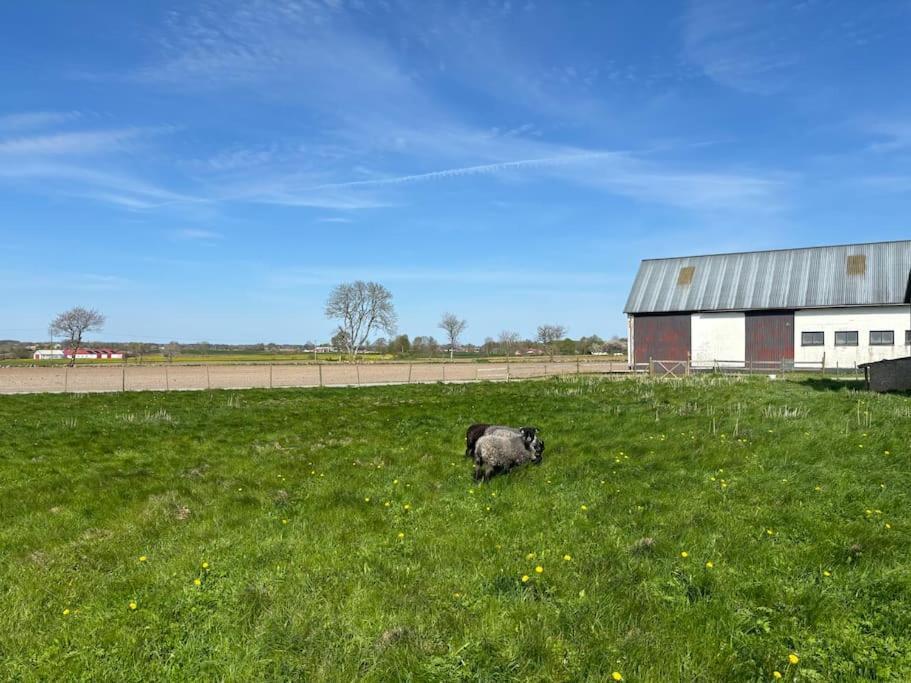 Oesterlen Oasis Spjutstorp 外观 照片