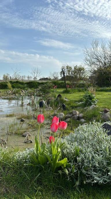 Oesterlen Oasis Spjutstorp 外观 照片